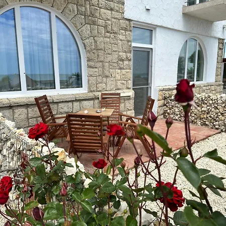 Halta Pescarus 3* Douazeci si Trei August